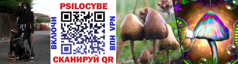 hydra tor  закладки  Белёв  дарк нет официальный сайт  Псилоцибиновые грибы Psilocybine cubensis 